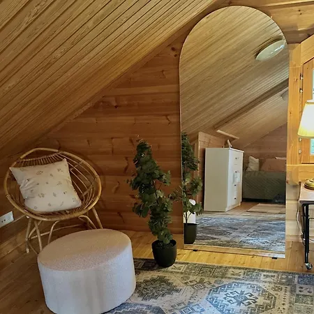 Шале Gotolevi, In, Out Леви