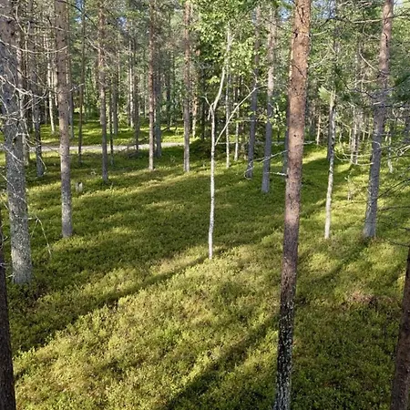 Gotolevi, In, Out Chalet *