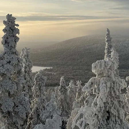 Gotolevi, In, Out Levi