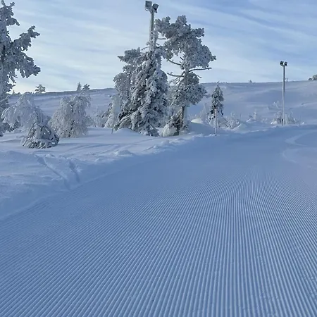 Gotolevi, In, Out Chalet *