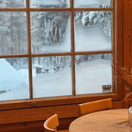 Gotolevi, In, Out * Levi